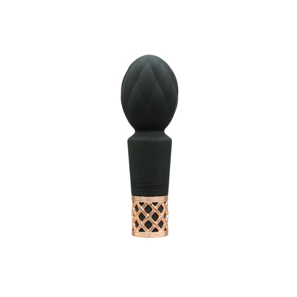 Secrets Pleasure Clitoral Vibrator Wand - Black