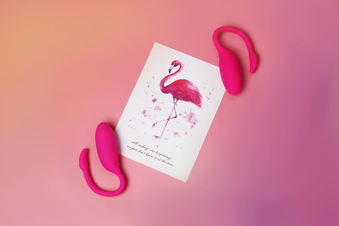 1-Flamingo Magic Motion App Controlled Wearable Vibrator - Pink