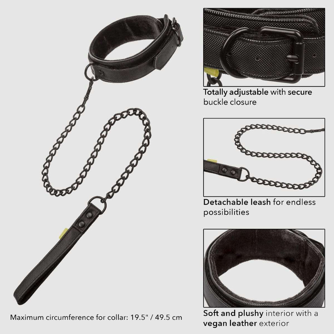 Boundless Collar & Leash