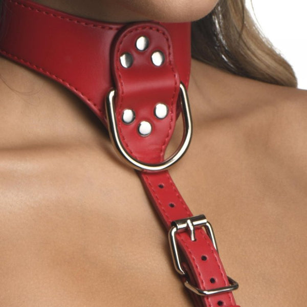 Strict Red Female Chest Harness - M/L